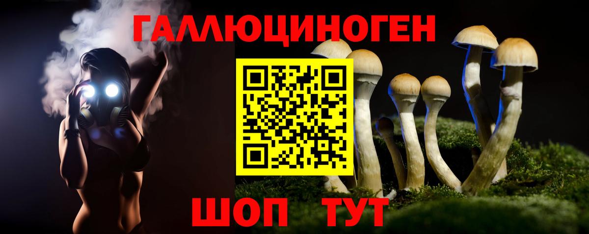 купить наркоту  Псилоцибиновые грибы MAGIC MUSHROOMS  Вход с VPN  Салават 